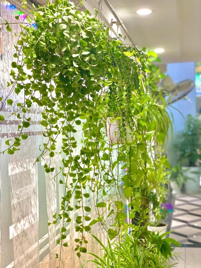 Mes Hotel - Ngay Ben Ninh Kieu 芹苴 外观 照片